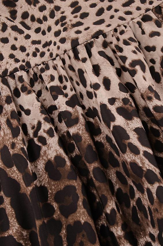 Sexy Leopard Print Long Sleeve V-Neck Mini Dress