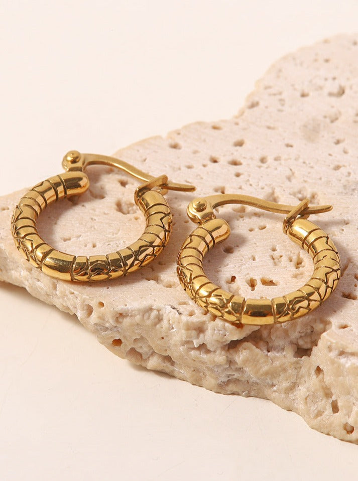 Gold Plated Titanium Steel Circle Textured Earrings